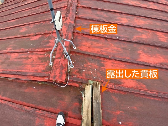 金属トタン屋根棟板金が飛散し貫板露出